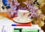 write urdu and english nice handwritten   assignments